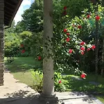 Lägenhet Lucherina Stresa