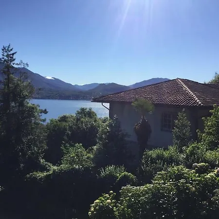 Lucherina ستريزا