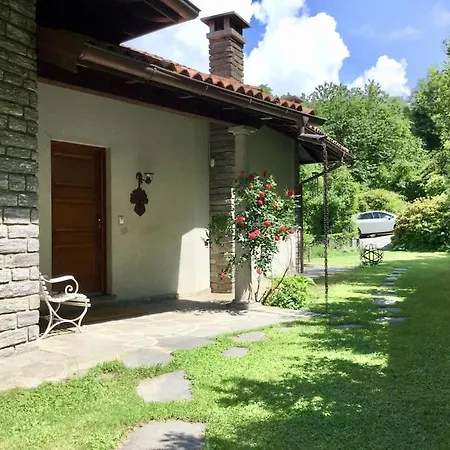 Lucherina ستريزا