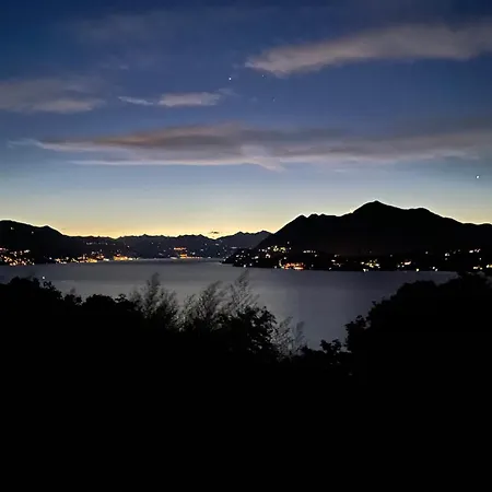 Lucherina * ستريزا