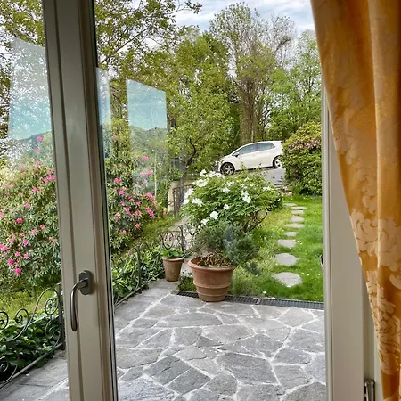 Lucherina ستريزا